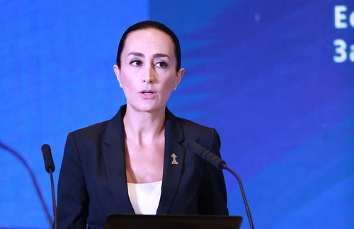 Irina Ghaplanyan-Заместитель министра окружающей среды Республики Армения